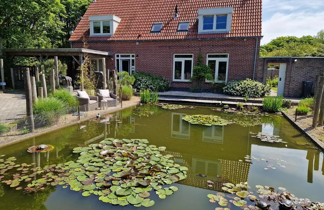 Het Pauwtje-1